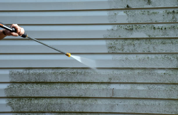 Best Mold Inspection  in Morrisonvle, IL