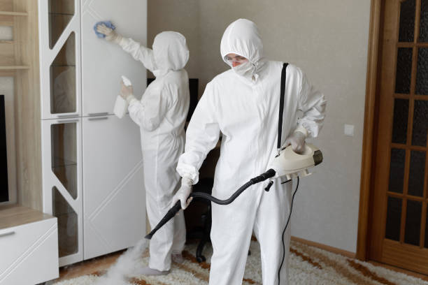 Best Water Damage Restoration  in Morrisonvle, IL